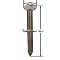 مسمار المسح الفولاذي (100 مم)