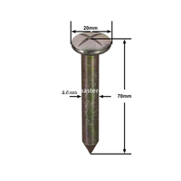 مسمار المسح الفولاذي (70 مم)